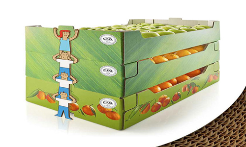 Fluted-Cartons